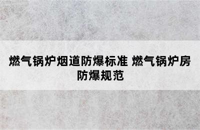 燃气锅炉烟道防爆标准 燃气锅炉房防爆规范